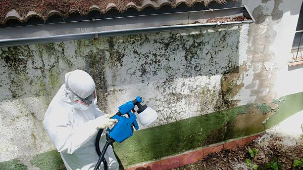 Trusted Attic Mold Removal service in Pompton Lakes, NJ - Cheap Mold Removal